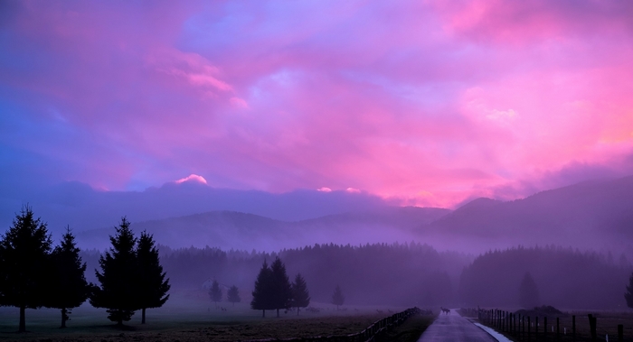 Purple and pink sunset over misty mountains and trees
