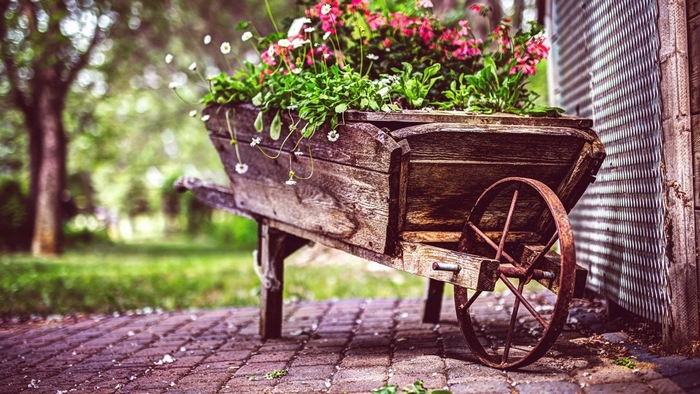 Vintage wooden wheelbarrow filled with flowers