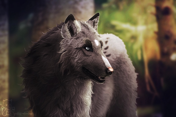 Artwork of a wolf in a forest