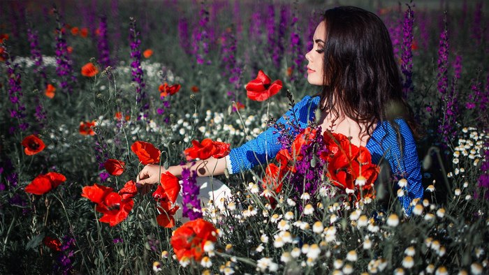 Woman in blue dress sitting in a field of poppies and purple flowers