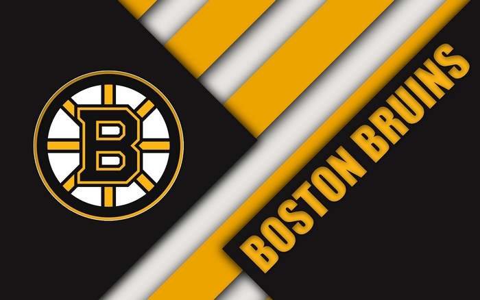 Boston Bruins Logo and Text