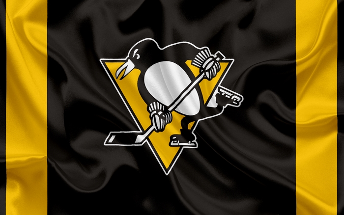 Pittsburgh Penguins NHL logo on black and gold flag