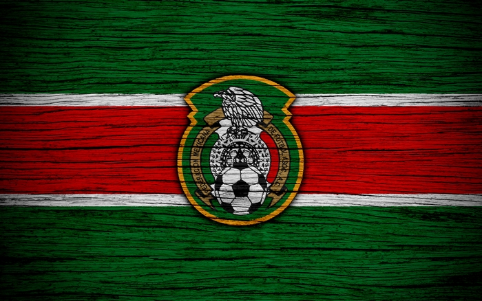 Mexico National Football Team Emblem on Wood Texture