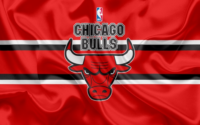 Chicago Bulls NBA Logo on Red Fabric
