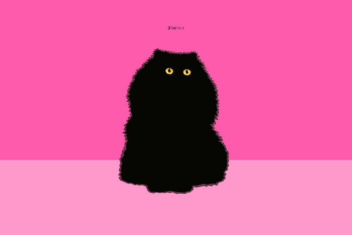 Fluffy black cat with yellow eyes on pink background