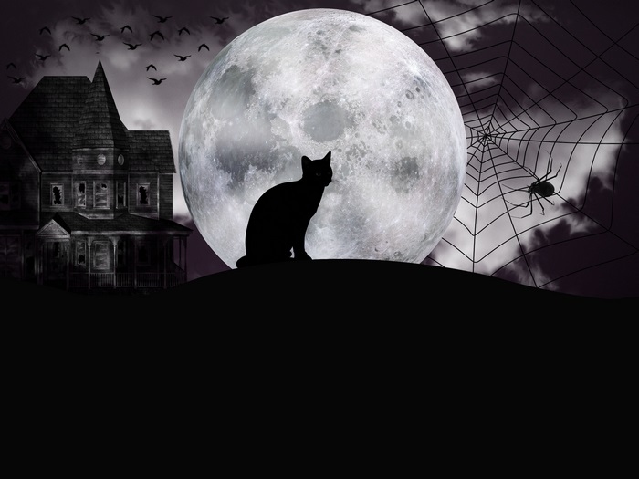Halloween scene with haunted house, cat, moon, and spider web