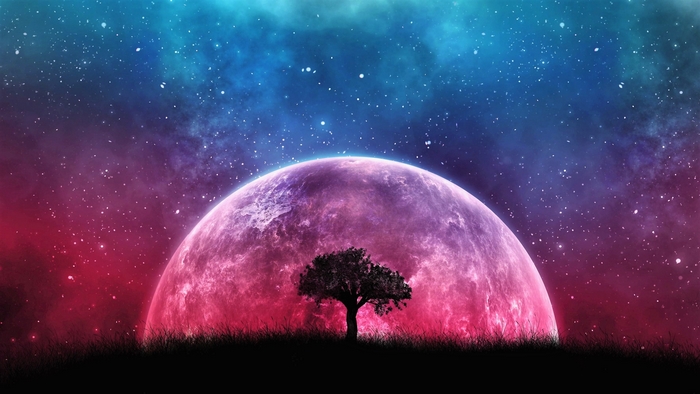Mystical Tree Silhouette with Rising Planet and Starry Sky
