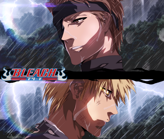 Sōsuke Aizen and Ichigo Kurosaki from Bleach