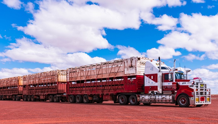 Kenworth truck pulling a road train in the desert