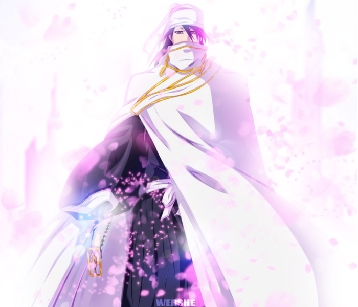 Byakuya Kuchiki from Bleach
