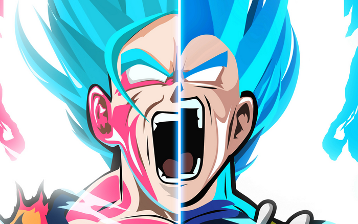 Goku and Vegeta from Dragon Ball Super Saiyan Blue