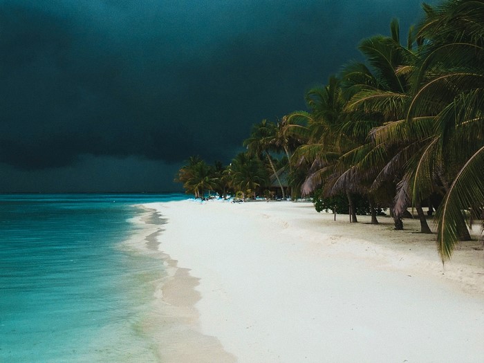 Tropical Beach with Palm Trees and Storm Clouds