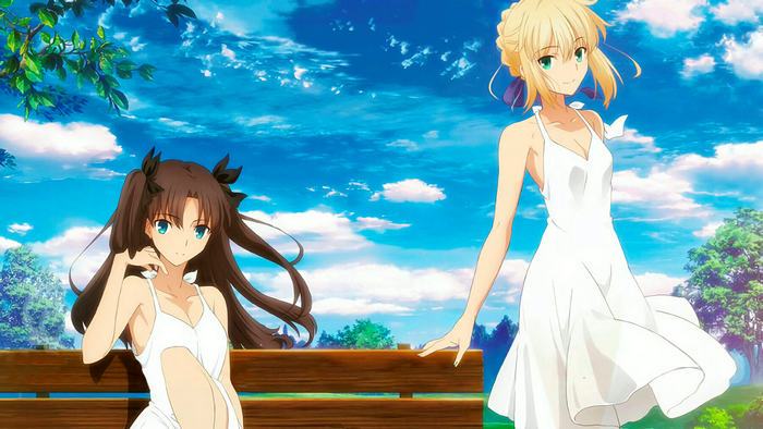 Saber and Rin Tohsaka from Fate Series