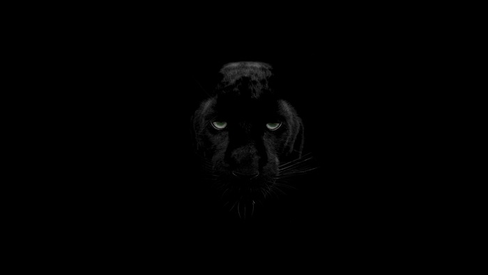 4K Black Panther