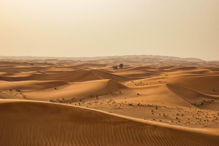 Desert sand dunes with sparse vegetation and distant hills