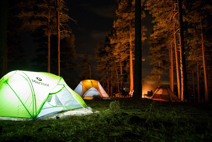 Camping at night in a forest with tents and a campfire