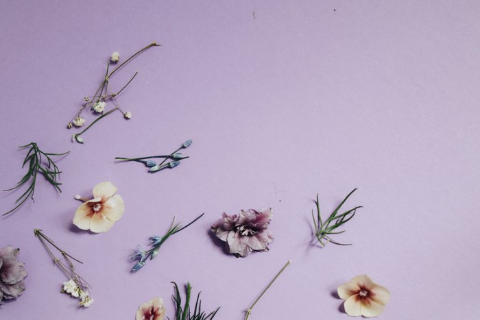 Flat lay of dried flowers and plants on purple background