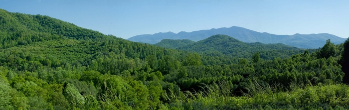 Mountain range with green forests and blue sky