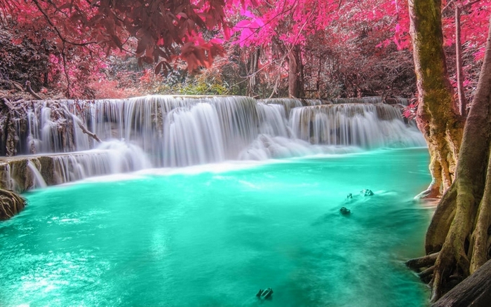 Turquoise waterfall with pink trees