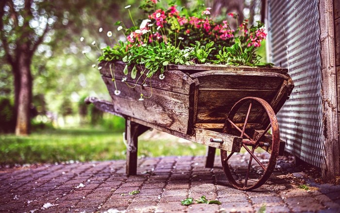 Vintage wooden wheelbarrow filled with flowers