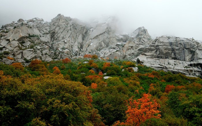 Rocky mountain slope with autumn foliage