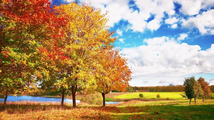 Autumn trees by a lake under a cloudy sky