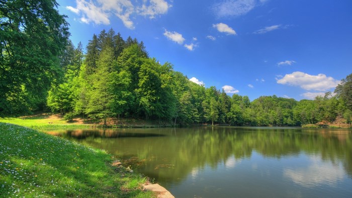 Lake surrounded by green trees under a blue sky