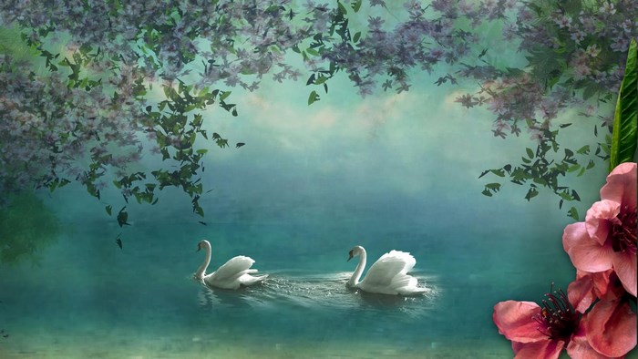 Two swans swimming in a lake with flowers
