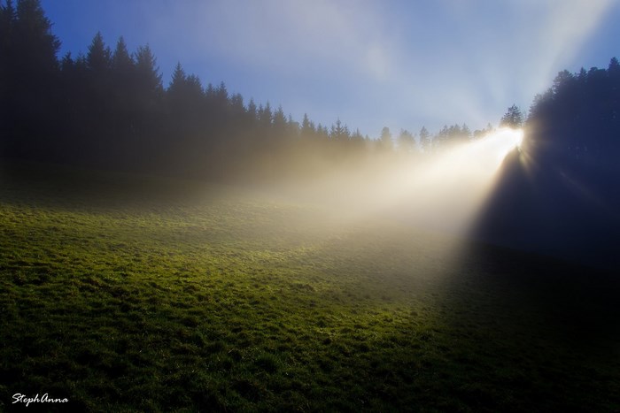 Sunbeam through fog over grassy hill and forest