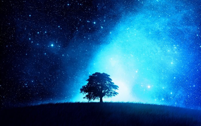 Silhouette of a lone tree under a starry blue nebula