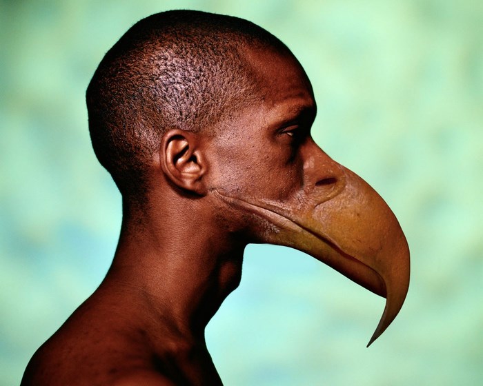 Man with bird beak profile