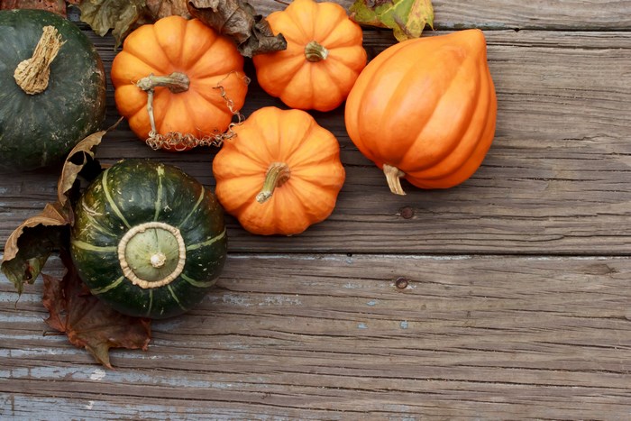 Pumpkins and gourds on a wooden surface