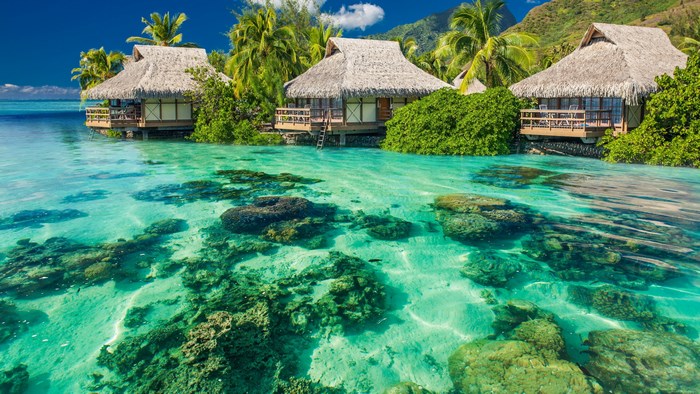 Tropical overwater bungalows in turquoise water