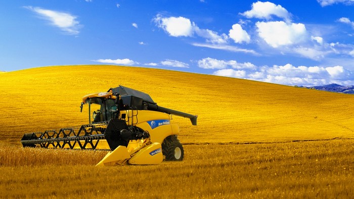 New Holland combine harvester in a golden field