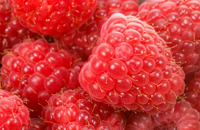 Close-up of ripe red raspberries