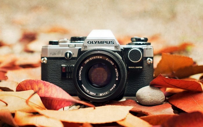 Olympus OM-System Zuiko camera on autumn leaves