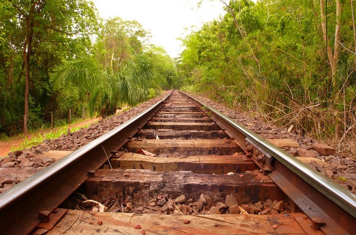 Railroad tracks through a lush green forest