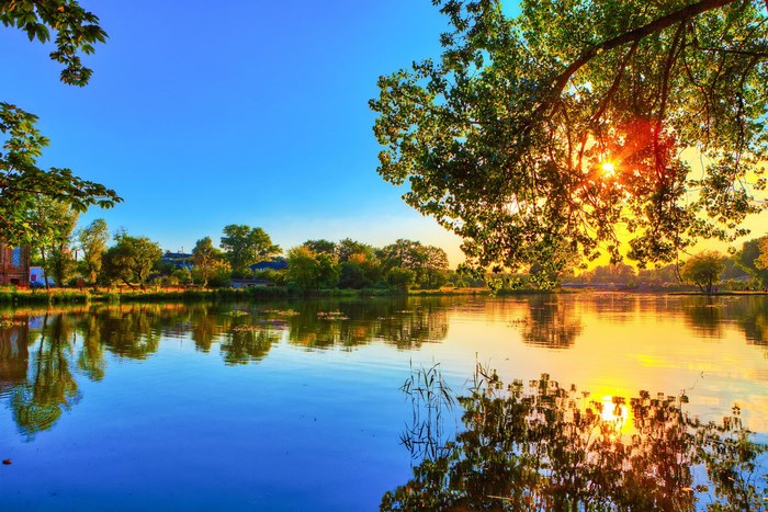 Sunset Over Calm Lake with Tree Reflections