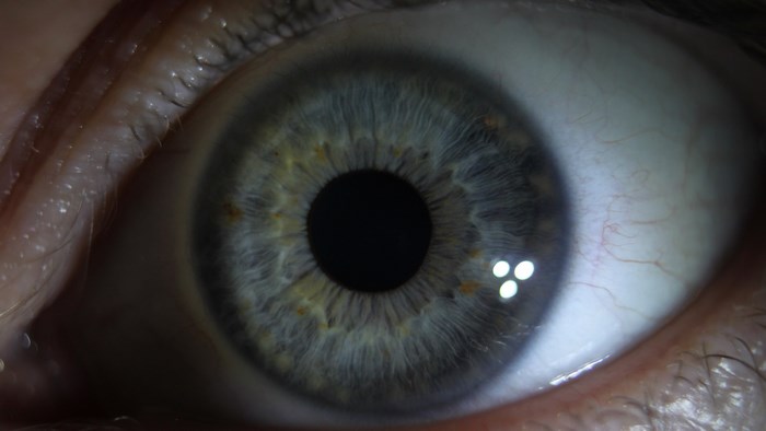 Close-up of a human eye