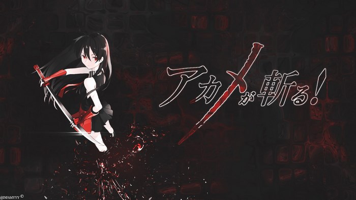 Akame ga Kill! Anime Banner
