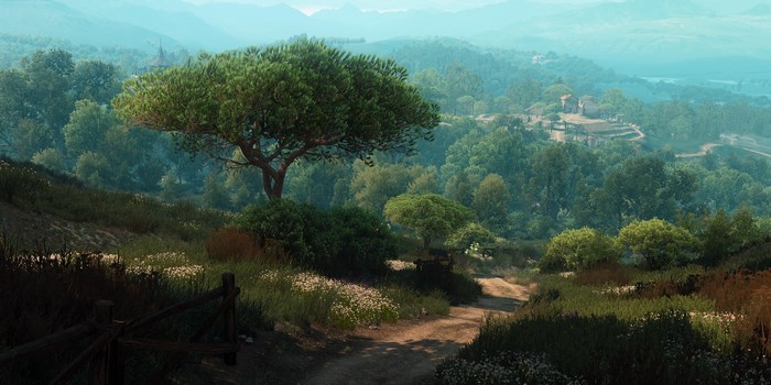 The Witcher 3: Wild Hunt Landscape