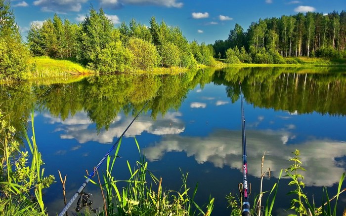Peaceful lake with fishing rods and forest reflection