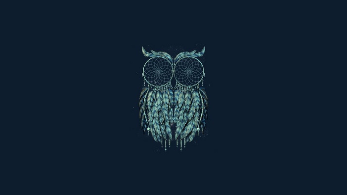 Owl made of dreamcatchers and feathers