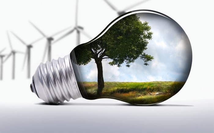 Lightbulb with tree and wind turbines