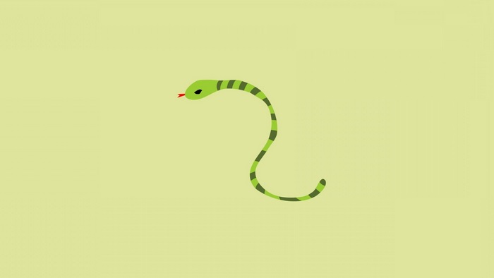 Green snake with black stripes on a light green background