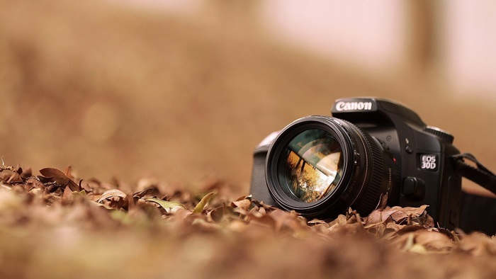 Canon EOS 30D camera on fallen leaves