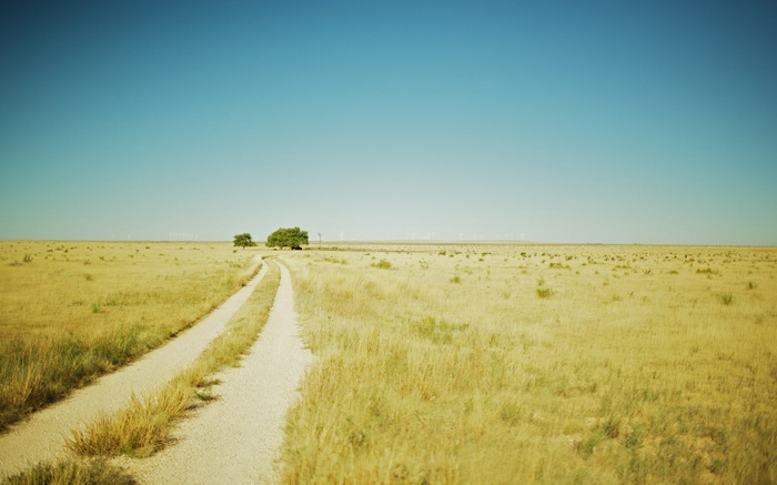 Dirt road through a dry grassland with trees and wind turbines