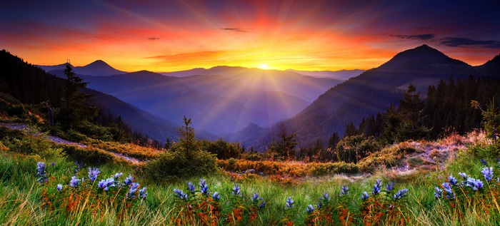 Stunning 4K New Zealand Sunrise Over Flowered Mountains