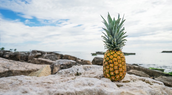 Pineapple on rocks by the sea 4K
