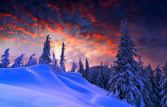 4K Winter Sunset Over Snowy Forest Landscape